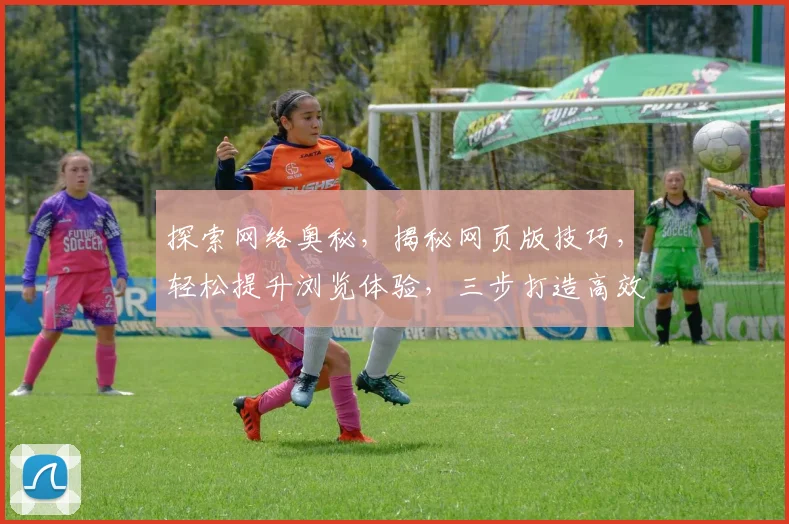 探索网络奥秘，揭秘网页版技巧，轻松提升浏览体验，三步打造高效搜索