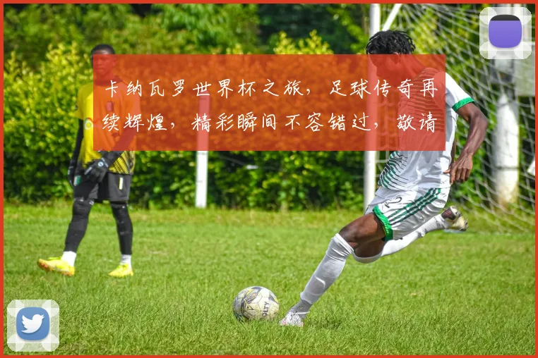 卡纳瓦罗世界杯之旅，足球传奇再续辉煌，精彩瞬间不容错过，敬请期待