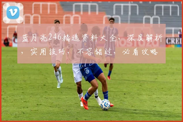 蓝月亮246精选资料大全，深度解析，实用技巧，不容错过，必看攻略