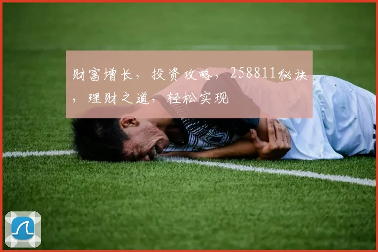 财富增长，投资攻略，258811秘诀，理财之道，轻松实现